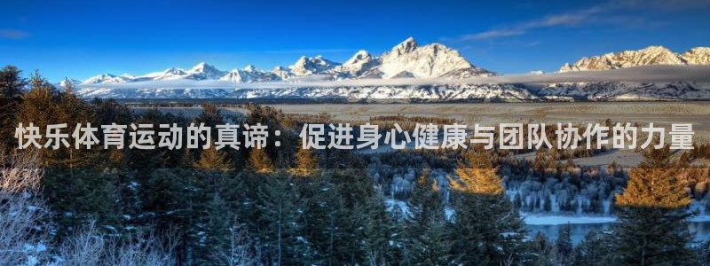 杏鑫体育用品：快乐体育运动的真谛：促进身心健康与团队协作的力量