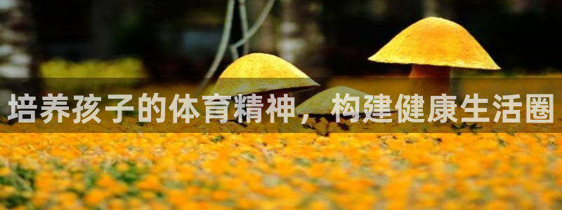 杏鑫体育游戏