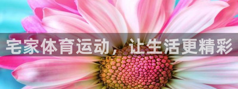 杏鑫招商：宅家体育运动，让生活更精彩