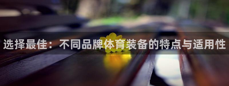 意昂的动画