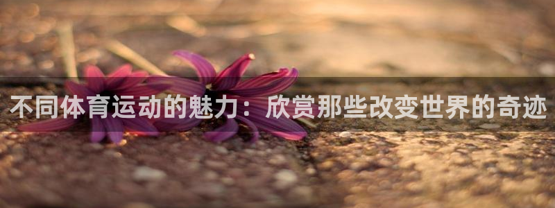杏鑫代理注册：不同体育运动的魅力：欣赏那些改变世界的奇迹
