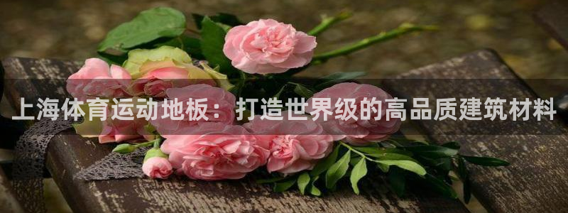杏鑫f平台注册：上海体育运动地板：打造世界级的高品质建筑材料