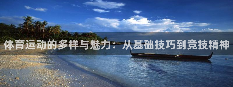 东莞市意昂电子科技有限公司：体育运动的多样与魅力：从基础技巧到竞技精神