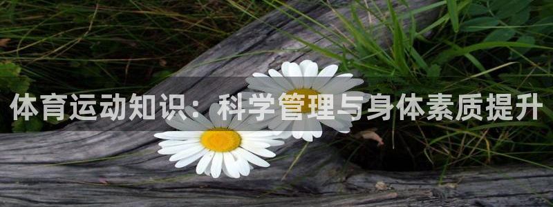 意昂平台招商：体育运动知识：科学管理与身体素质提升