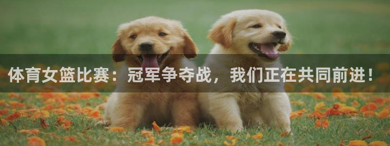 意昂体育注册代理：体育女篮比赛：冠军争夺战，我们正在共同前进！