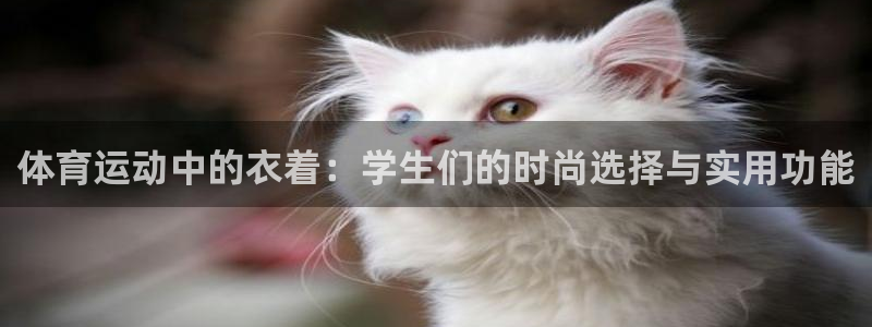 杏鑫代理注册官网入口：体育运动中的衣着：学生们的时尚选择与实用功能