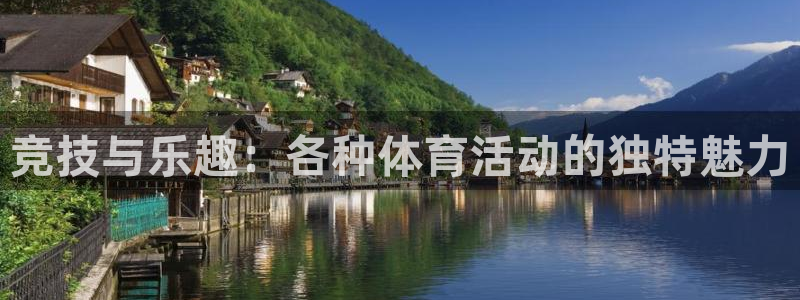 杏鑫2登录入口：竞技与乐趣：各种体育活动的独特魅力