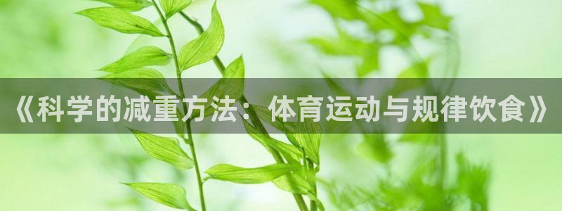 杏鑫代理注册：《科学的减重方法：体育运动与规律饮食》