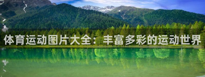 杏鑫集团官网