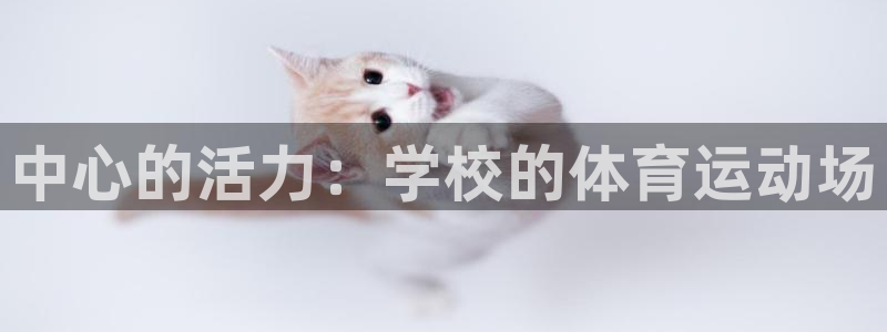 杏鑫2登录入口：中心的活力：学校的体育运动场