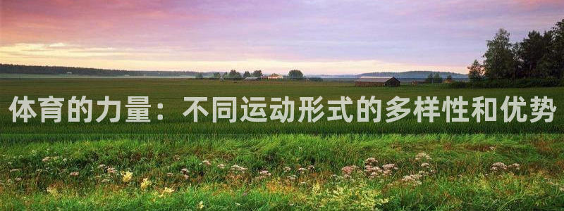 杏鑫体育f开户：体育的力量：不同运动形式的多样性和优势
