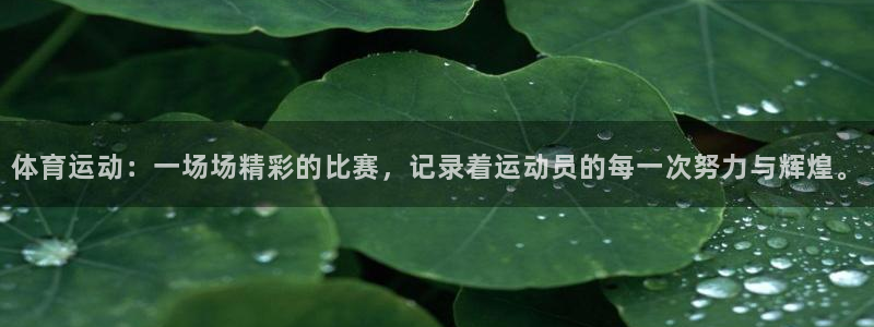 杏鑫体育平台登录入口：体育运动：一场场精彩的比赛，记录着运动员的每一次努力与辉煌