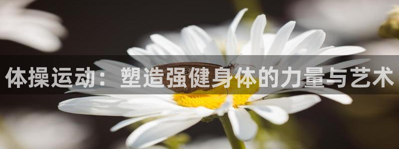 杏鑫体育凯捷代理注册：体操运动：塑造强健身体的力量与艺术