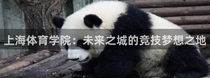北京意昂科技有限公司：上海体育学院：未来之城的竞技梦想之地
