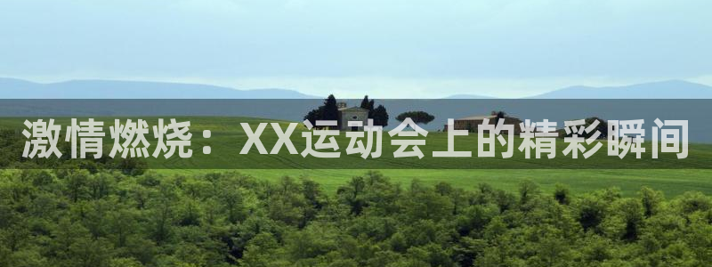 杏鑫体育老板是谁：激情燃烧：XX运动会上的精彩瞬间