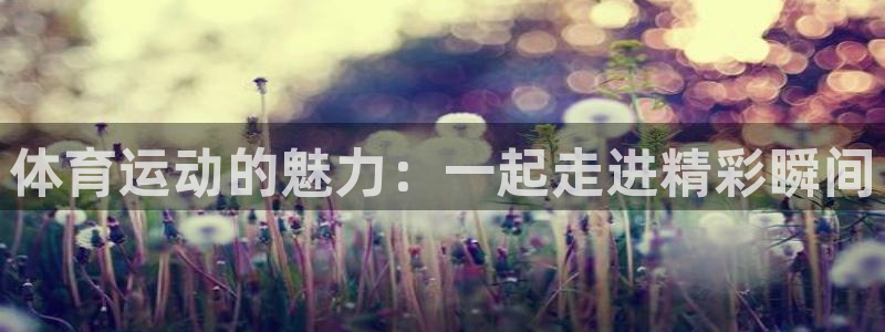 意昂4平台：体育运动的魅力：一起走进精彩瞬间