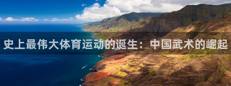杏鑫2注册：史上最伟大体育运动的诞生：中国武术的崛起