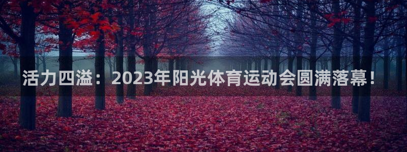 杏鑫平台：活力四溢：2023年阳光体育运动会圆满落幕！