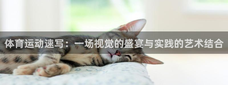 意昂是什么品牌：体育运动速写：一场视觉的盛宴与实践的艺术结合