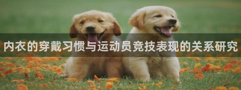 意昂是什么品牌：内衣的穿戴习惯与运动员竞技表现的关系研究