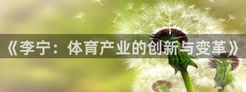 杏鑫3登陆：《李宁：体育产业的创新与变革》