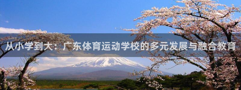 意昂主管：从小学到大：广东体育运动学校的多元发展与融合教育