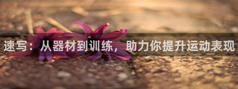 杭州意昂科技有限公司：速写：从器材到训练，助力你提升运动表现