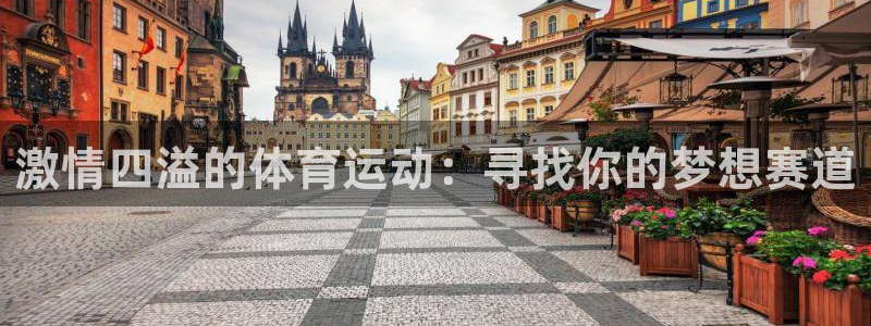 福建杏鑫机电股份公司：激情四溢的体育运动：寻找你的梦想赛道