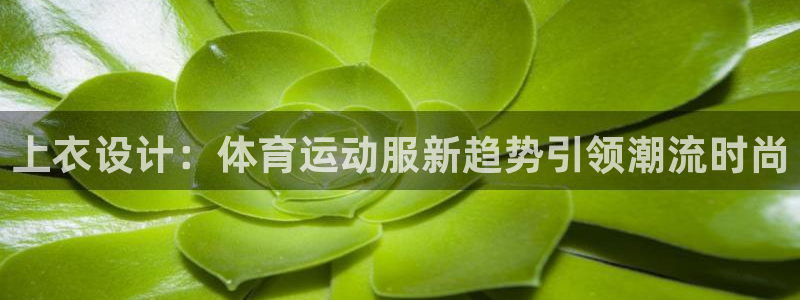杏鑫凯捷注册：上衣设计：体育运动服新趋势引领潮流时尚