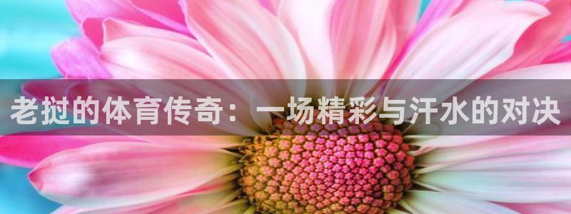 杏鑫能源：老挝的体育传奇：一场精彩与汗水的对决