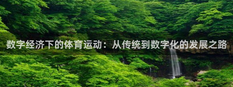 意昂3官网：数字经济下的体育运动：从传统到数字化的发展之路