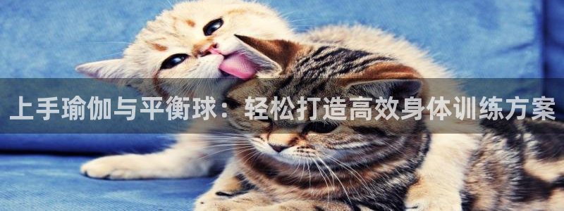 杏鑫体育官网登录：上手瑜伽与平衡球：轻松打造高效身体训练方案