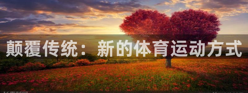 意昂平台招商：颠覆传统：新的体育运动方式