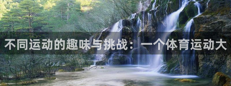 意昂平台登陆：不同运动的趣味与挑战：一个体育运动大